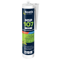 MSP 107