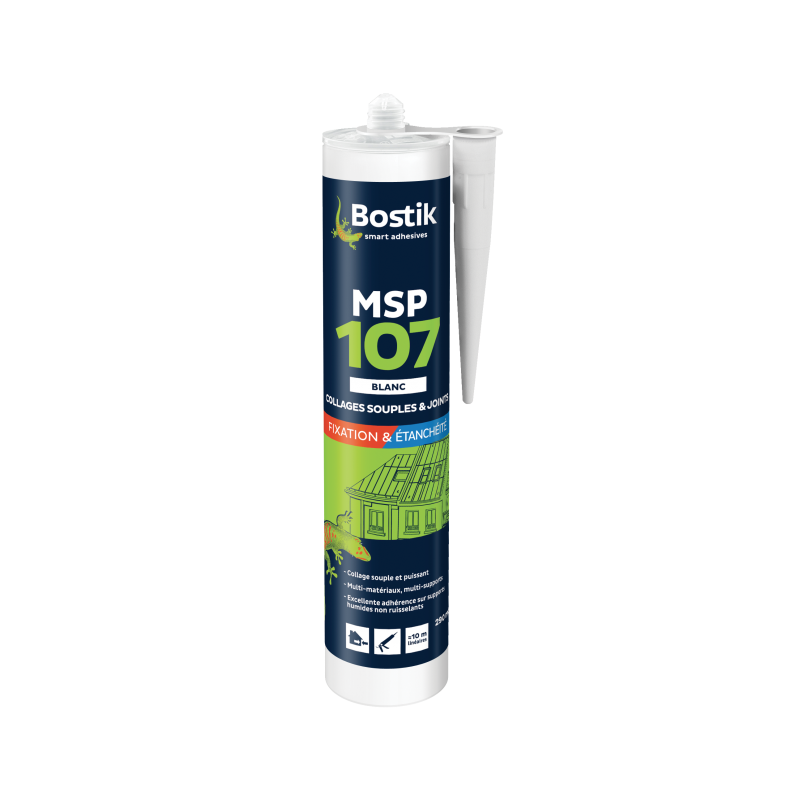 MSP 107