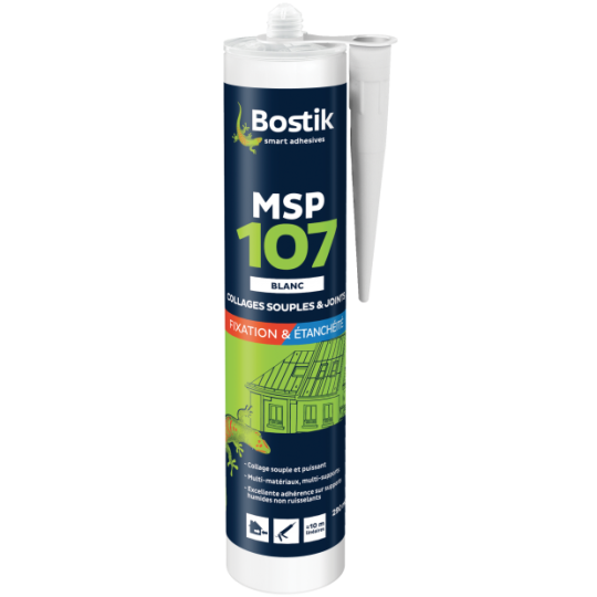 MSP 107