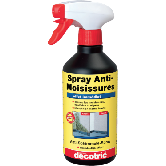 Spray Anti-Moisissures