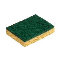 Éponge végétale Abrasive