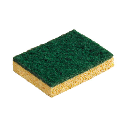 Éponge végétale Abrasive